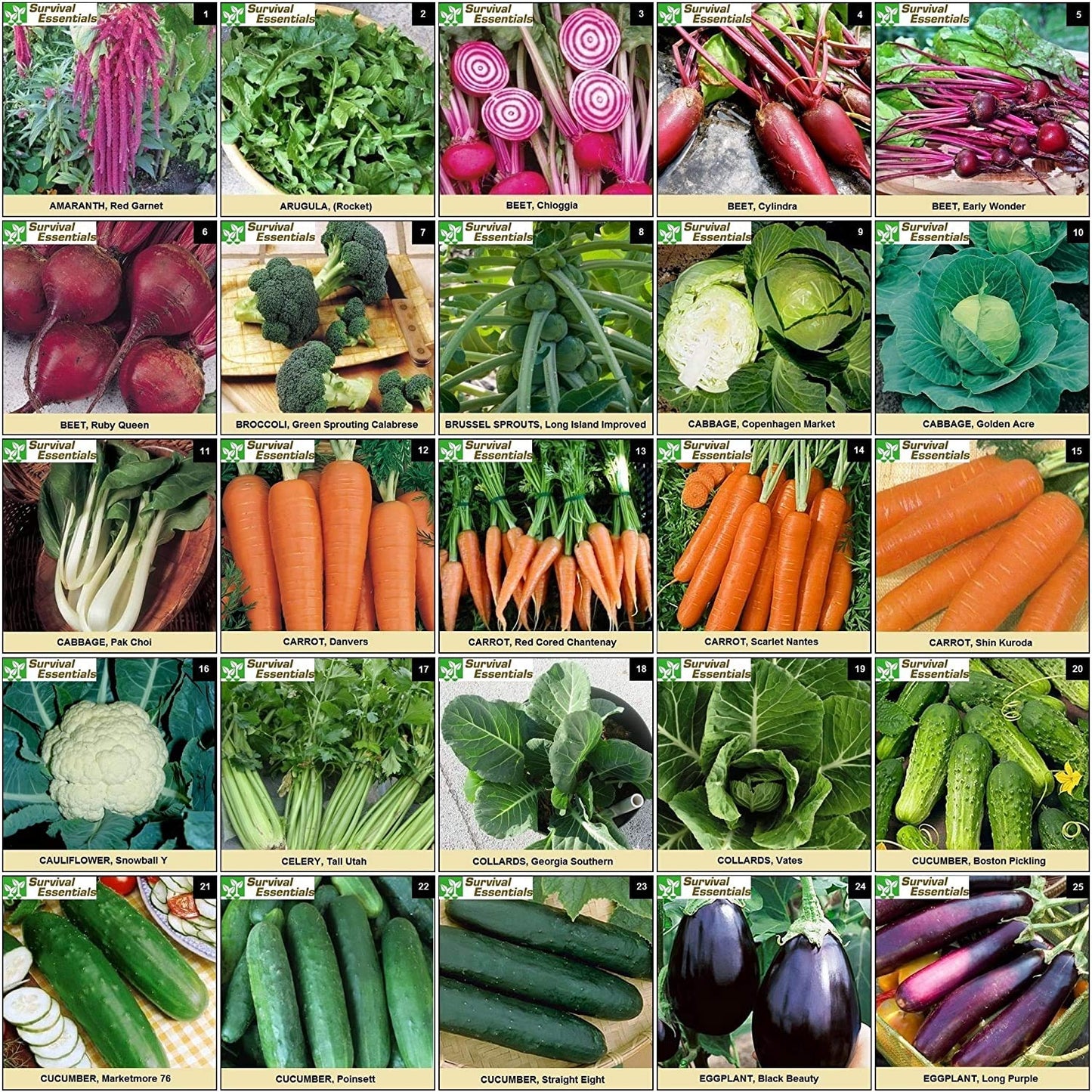 Ultimate Non-GMO Heirloom Survival Seed Vault – 23,000 Open-Pollinated Vegetable, Herb & Fruit Seeds for Planting – 144 Varieties for All USDA Hardiness Zones – Long Term Emergency Preparedness Seeds