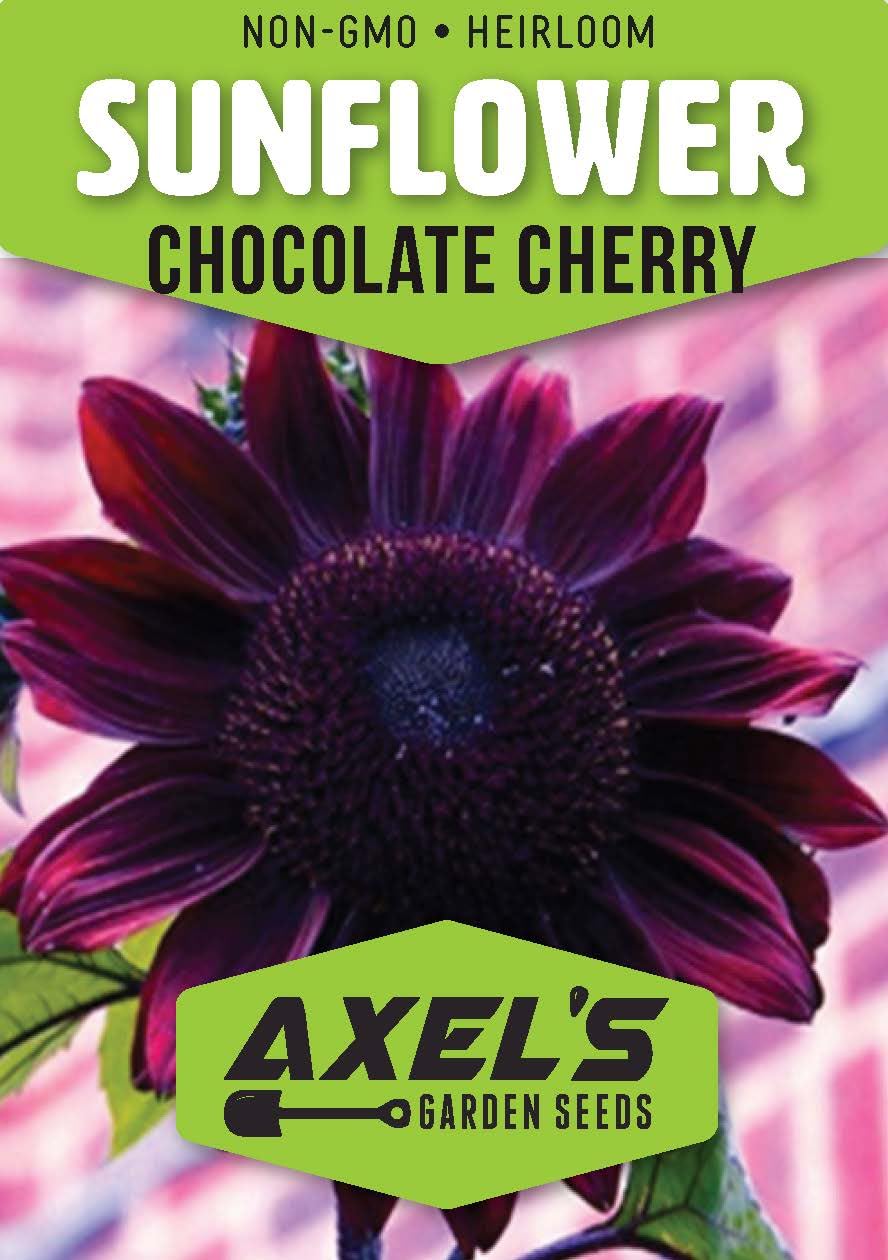 Red Sunflower Seeds for Planting - 50 Heirloom Non GMO Velvet Queen Flower Seeds Plant & Grow Home Outdoor Annual Garden - 1 Packet