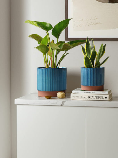 LE TAUCI Ceramic Plant Pots with Drainage Holes, Set of 3, 8+6.7+5.5 Inch Stripe Garden Planter Pots for Outdoor Indoor Plants Flower, Round Succulent Orchid Flower Pot, Reactive Glaze Black
