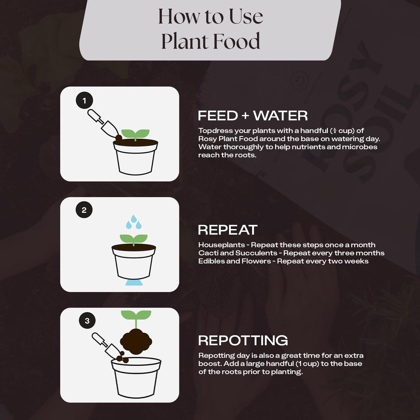 Rosy Soil Cactus Soil – Organic Succulent Potting Mix, Chunky Fast Draining, Peat-Free, Root Boosting Mix for AloeVera, Cacti, Indoor Succulents - 4qt