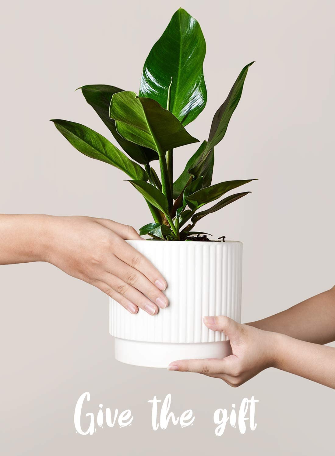 LE TAUCI Ceramic Plant Pots with Drainage Holes, Set of 3, 8+6.7+5.5 Inch Stripe Garden Planter Pots for Outdoor Indoor Plants Flower, Round Succulent Orchid Flower Pot, Reactive Glaze Black