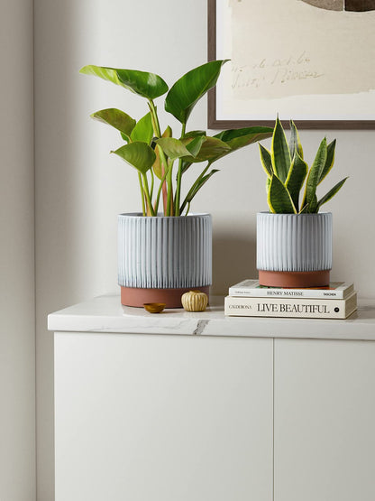 LE TAUCI Ceramic Plant Pots with Drainage Holes, Set of 3, 8+6.7+5.5 Inch Stripe Garden Planter Pots for Outdoor Indoor Plants Flower, Round Succulent Orchid Flower Pot, Reactive Glaze Black