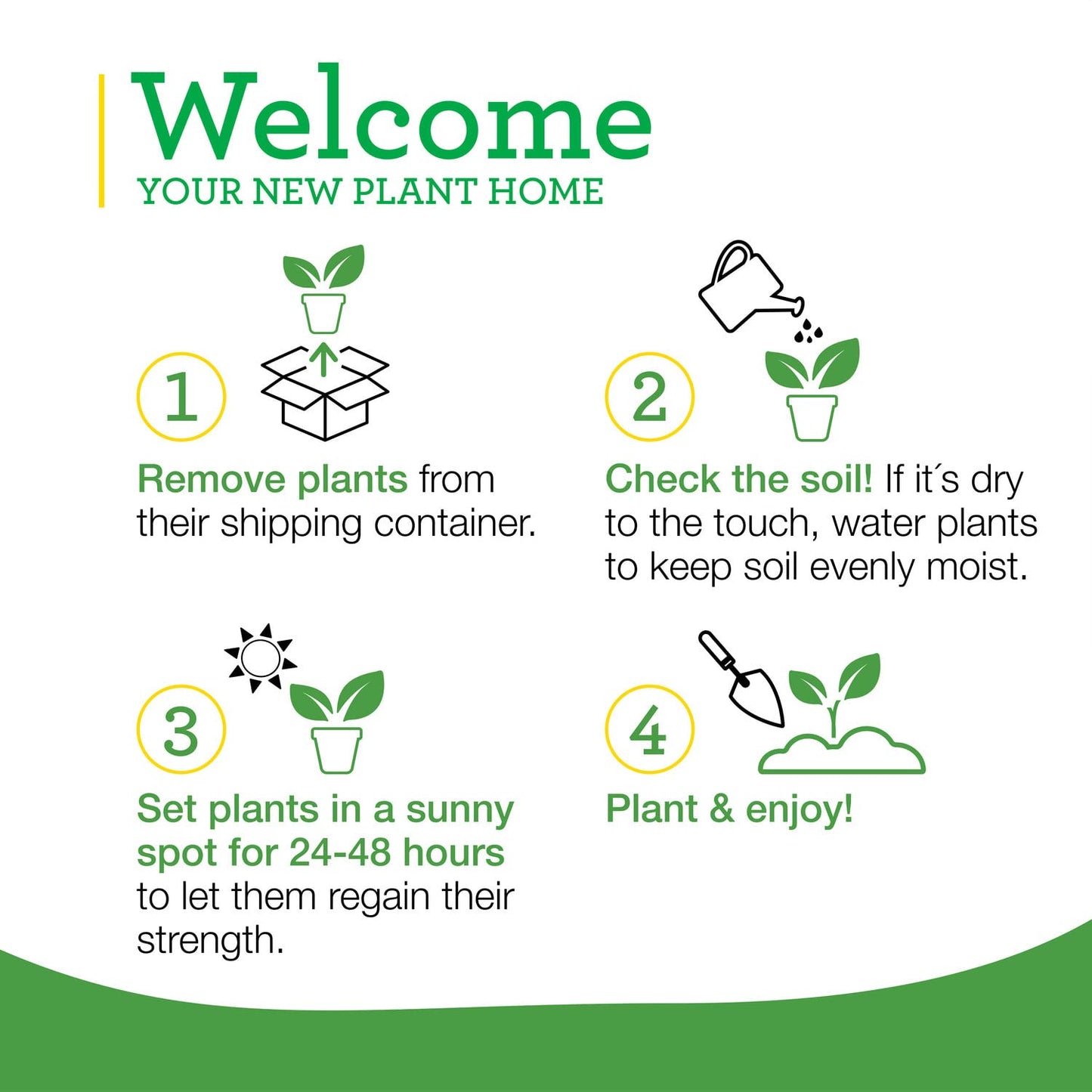 Bonnie Plants Pineapple Sage - 4 Pack Live Plants, Perennial In Zones 8 - 10, 3 - 4 Ft Tall Plants, Garnish, Teas & Flower Arrangements