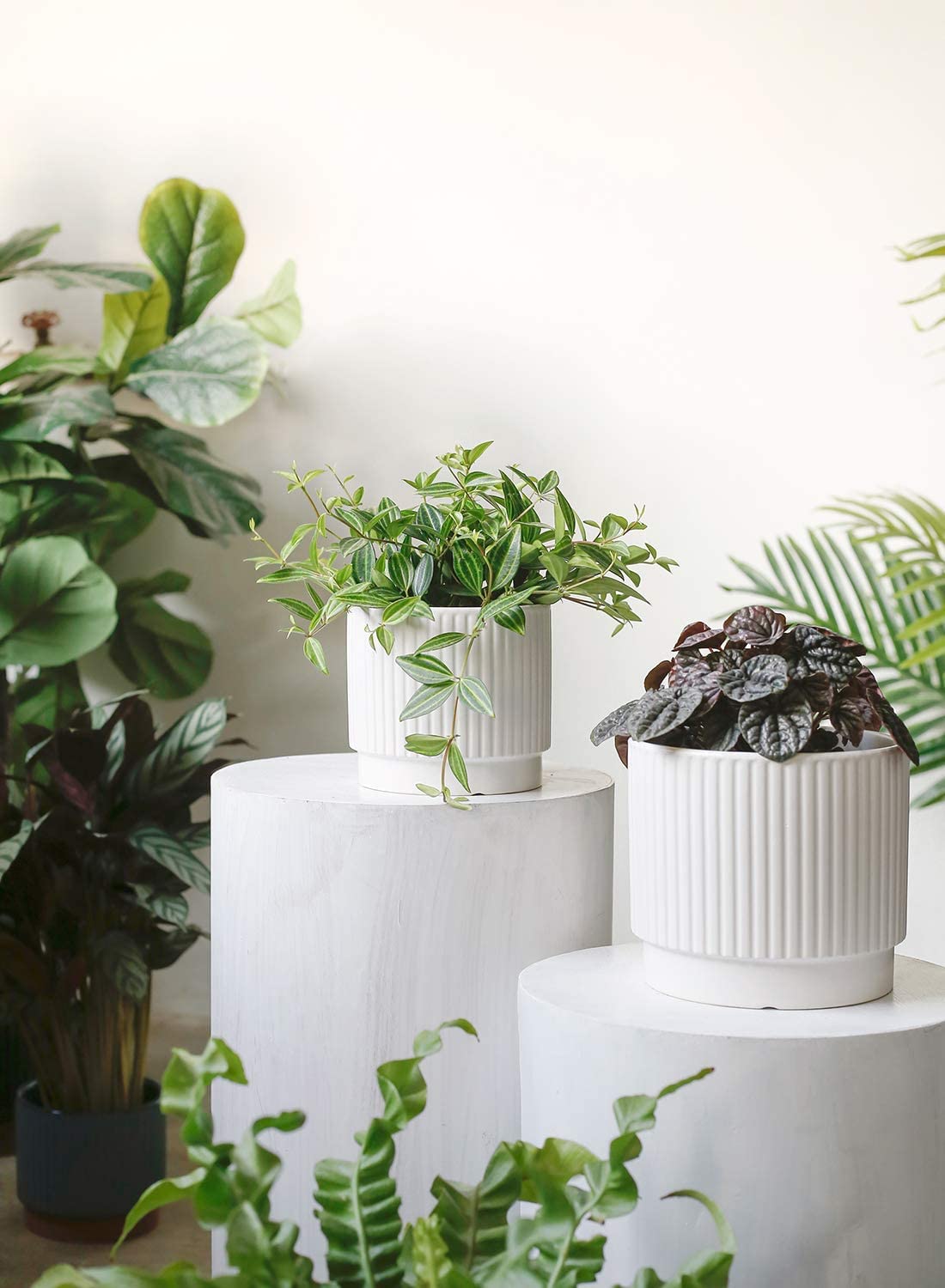 LE TAUCI Ceramic Plant Pots with Drainage Holes, Set of 3, 8+6.7+5.5 Inch Stripe Garden Planter Pots for Outdoor Indoor Plants Flower, Round Succulent Orchid Flower Pot, Reactive Glaze Black