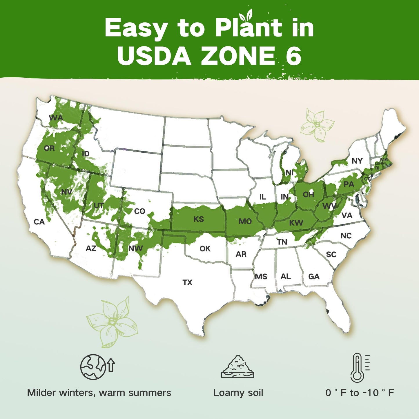 Lush&Dew Year-Round USDA Zone 9 Seed Bank, Gardening Gifts for Women Men, 32 Varieties Non-GMO Heirloom Seeds of Vegetables Herbs Fruits, Gift for Mom Dad, Survival Seed Kit for Raised Garden Beds