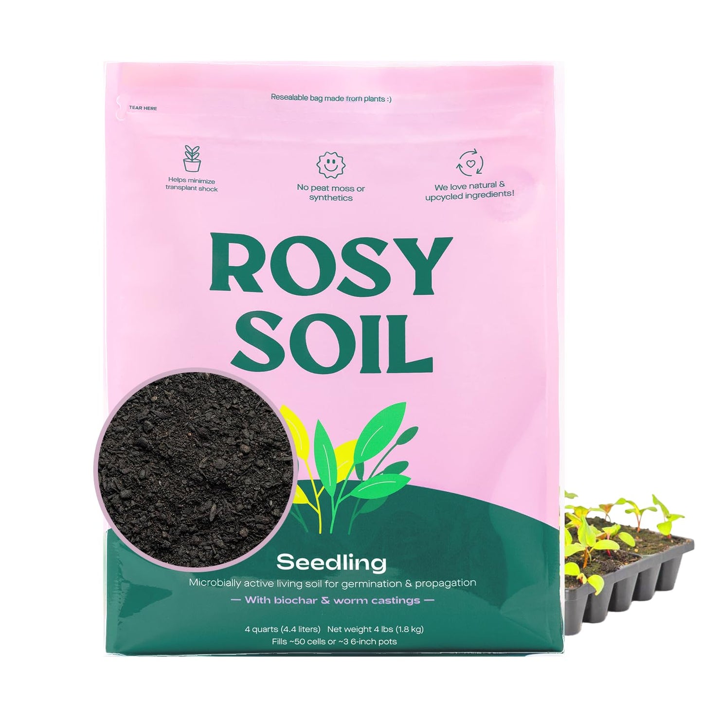 Rosy Soil Cactus Soil – Organic Succulent Potting Mix, Chunky Fast Draining, Peat-Free, Root Boosting Mix for AloeVera, Cacti, Indoor Succulents - 4qt