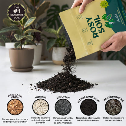 Rosy Soil Cactus Soil – Organic Succulent Potting Mix, Chunky Fast Draining, Peat-Free, Root Boosting Mix for AloeVera, Cacti, Indoor Succulents - 4qt