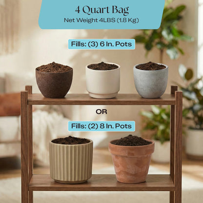 Rosy Soil Cactus Soil – Organic Succulent Potting Mix, Chunky Fast Draining, Peat-Free, Root Boosting Mix for AloeVera, Cacti, Indoor Succulents - 4qt