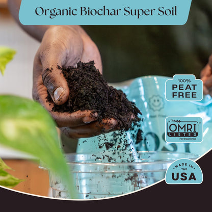 Rosy Soil Cactus Soil – Organic Succulent Potting Mix, Chunky Fast Draining, Peat-Free, Root Boosting Mix for AloeVera, Cacti, Indoor Succulents - 4qt