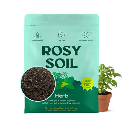 Rosy Soil Cactus Soil – Organic Succulent Potting Mix, Chunky Fast Draining, Peat-Free, Root Boosting Mix for AloeVera, Cacti, Indoor Succulents - 4qt