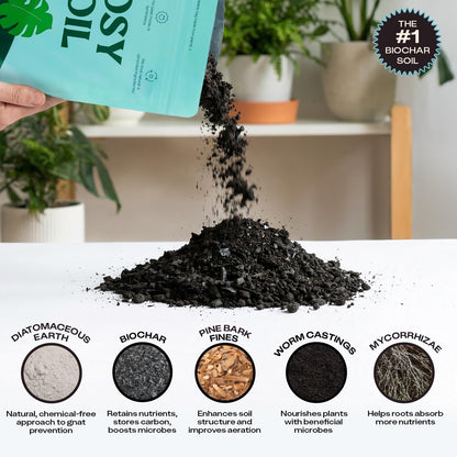 Rosy Soil Cactus Soil – Organic Succulent Potting Mix, Chunky Fast Draining, Peat-Free, Root Boosting Mix for AloeVera, Cacti, Indoor Succulents - 4qt