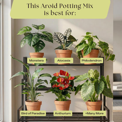 Rosy Soil Cactus Soil – Organic Succulent Potting Mix, Chunky Fast Draining, Peat-Free, Root Boosting Mix for AloeVera, Cacti, Indoor Succulents - 4qt