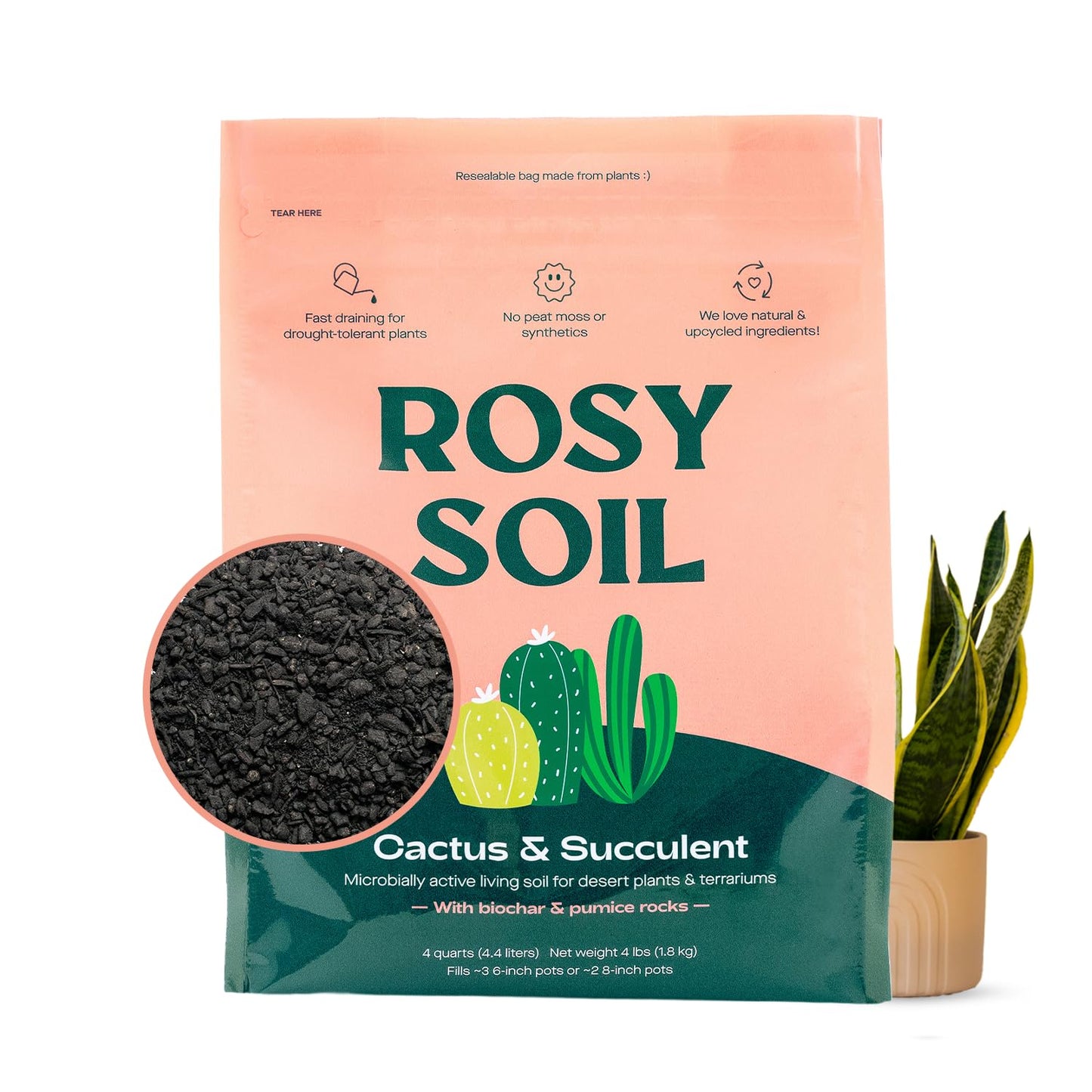 Rosy Soil Cactus Soil – Organic Succulent Potting Mix, Chunky Fast Draining, Peat-Free, Root Boosting Mix for AloeVera, Cacti, Indoor Succulents - 4qt