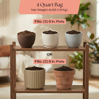 Rosy Soil Cactus Soil – Organic Succulent Potting Mix, Chunky Fast Draining, Peat-Free, Root Boosting Mix for AloeVera, Cacti, Indoor Succulents - 4qt