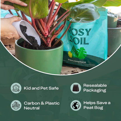 Rosy Soil Cactus Soil – Organic Succulent Potting Mix, Chunky Fast Draining, Peat-Free, Root Boosting Mix for AloeVera, Cacti, Indoor Succulents - 4qt