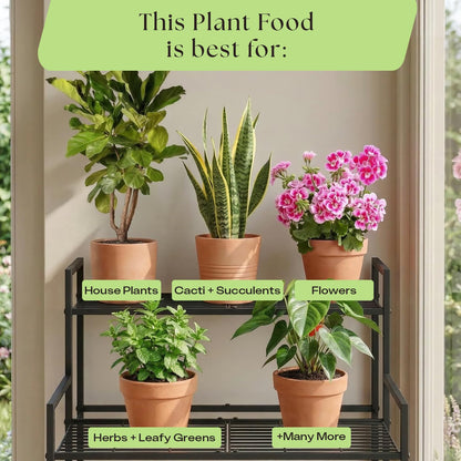 Rosy Soil Cactus Soil – Organic Succulent Potting Mix, Chunky Fast Draining, Peat-Free, Root Boosting Mix for AloeVera, Cacti, Indoor Succulents - 4qt