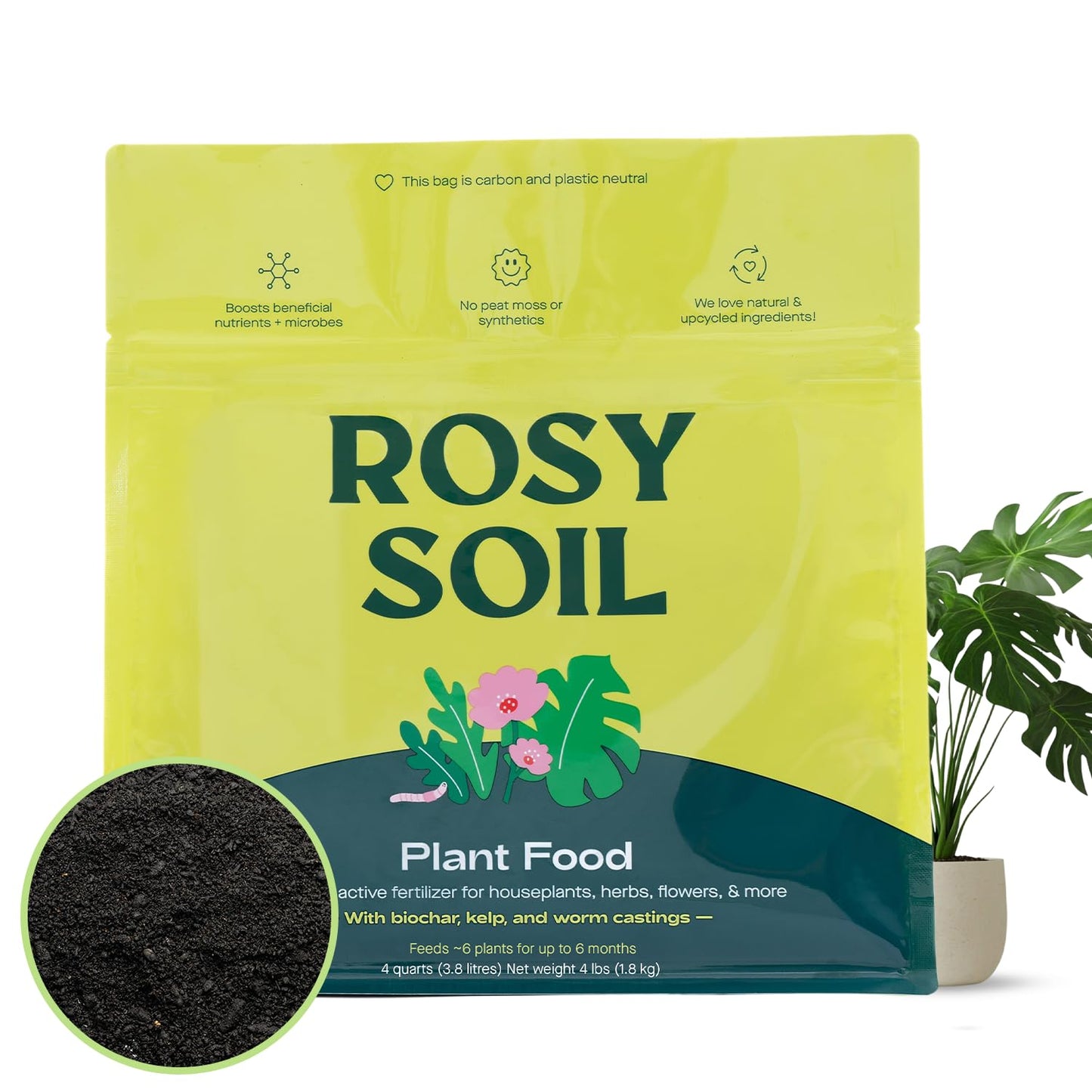 Rosy Soil Cactus Soil – Organic Succulent Potting Mix, Chunky Fast Draining, Peat-Free, Root Boosting Mix for AloeVera, Cacti, Indoor Succulents - 4qt