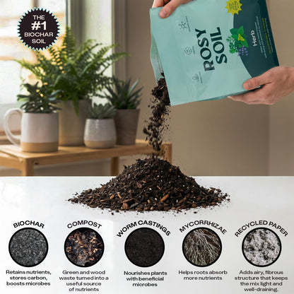 Rosy Soil Cactus Soil – Organic Succulent Potting Mix, Chunky Fast Draining, Peat-Free, Root Boosting Mix for AloeVera, Cacti, Indoor Succulents - 4qt