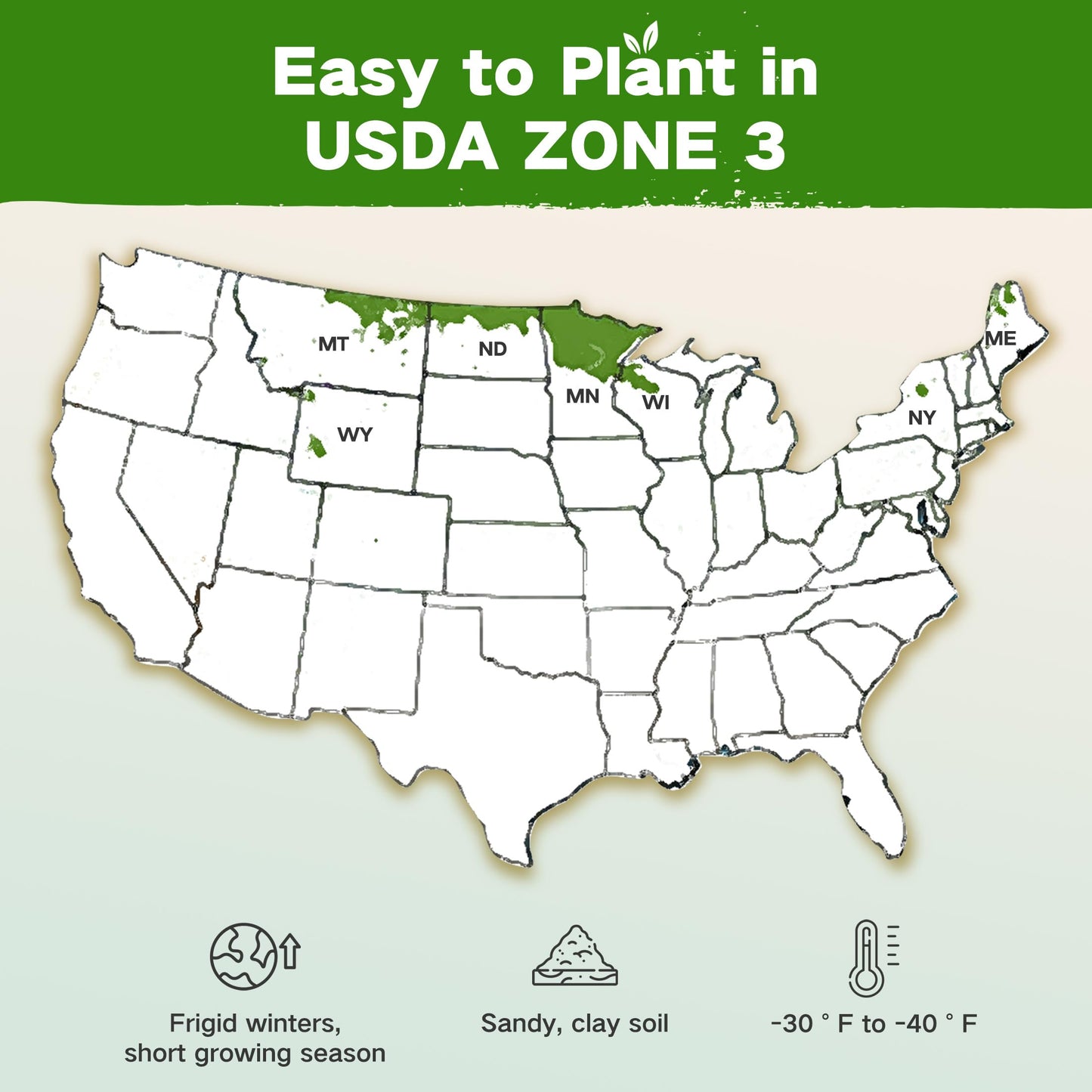 Lush&Dew Year-Round USDA Zone 9 Seed Bank, Gardening Gifts for Women Men, 32 Varieties Non-GMO Heirloom Seeds of Vegetables Herbs Fruits, Gift for Mom Dad, Survival Seed Kit for Raised Garden Beds