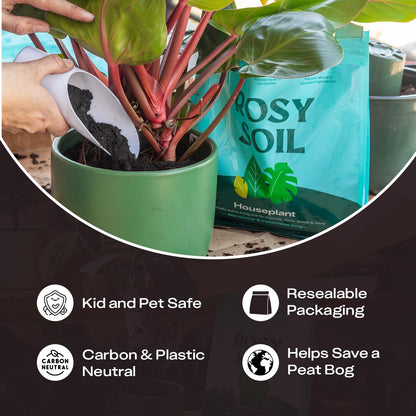 Rosy Soil Cactus Soil – Organic Succulent Potting Mix, Chunky Fast Draining, Peat-Free, Root Boosting Mix for AloeVera, Cacti, Indoor Succulents - 4qt