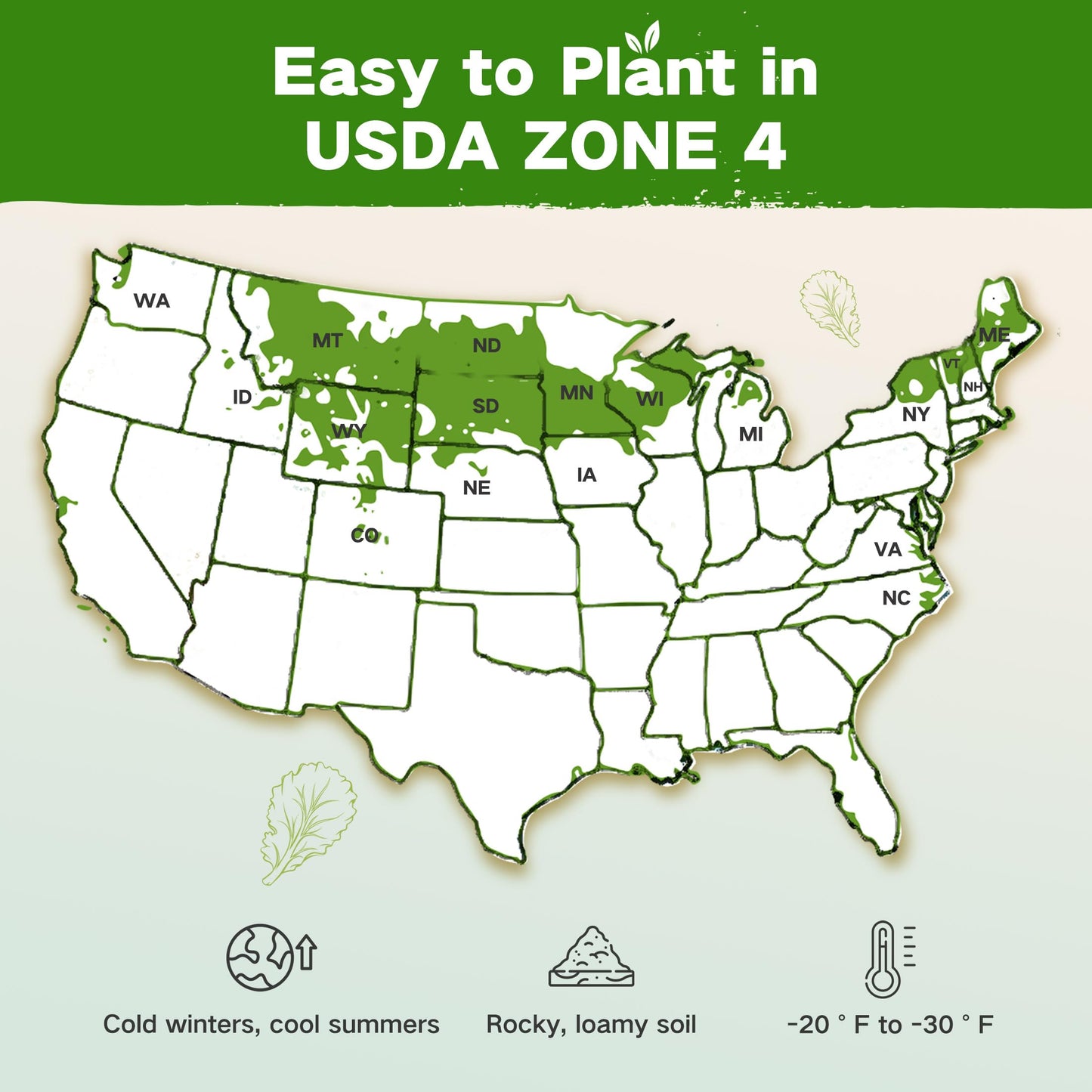 Lush&Dew Year-Round USDA Zone 9 Seed Bank, Gardening Gifts for Women Men, 32 Varieties Non-GMO Heirloom Seeds of Vegetables Herbs Fruits, Gift for Mom Dad, Survival Seed Kit for Raised Garden Beds