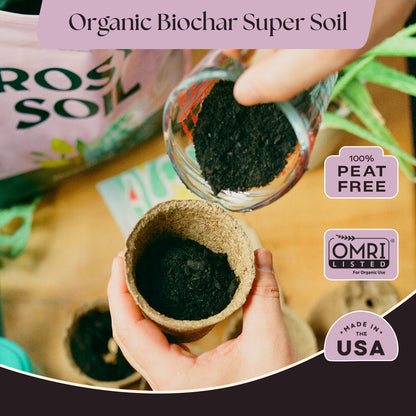 Rosy Soil Cactus Soil – Organic Succulent Potting Mix, Chunky Fast Draining, Peat-Free, Root Boosting Mix for AloeVera, Cacti, Indoor Succulents - 4qt