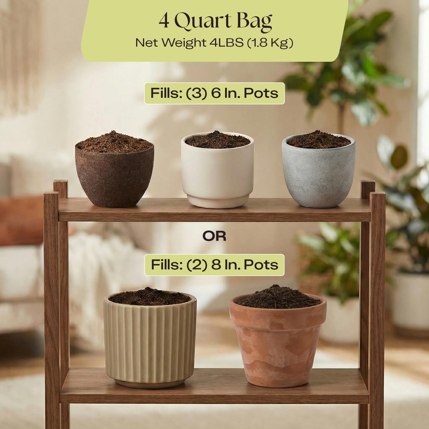 Rosy Soil Cactus Soil – Organic Succulent Potting Mix, Chunky Fast Draining, Peat-Free, Root Boosting Mix for AloeVera, Cacti, Indoor Succulents - 4qt