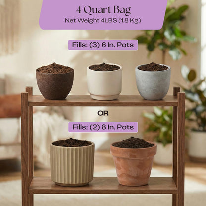 Rosy Soil Cactus Soil – Organic Succulent Potting Mix, Chunky Fast Draining, Peat-Free, Root Boosting Mix for AloeVera, Cacti, Indoor Succulents - 4qt