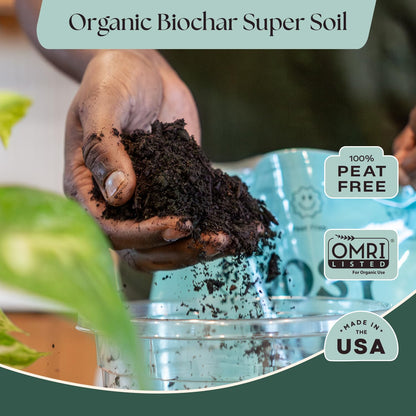 Rosy Soil Cactus Soil – Organic Succulent Potting Mix, Chunky Fast Draining, Peat-Free, Root Boosting Mix for AloeVera, Cacti, Indoor Succulents - 4qt