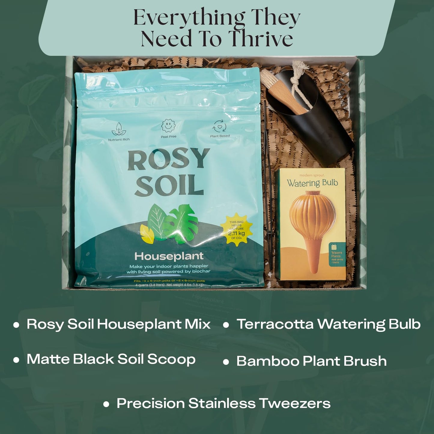 Rosy Soil Cactus Soil – Organic Succulent Potting Mix, Chunky Fast Draining, Peat-Free, Root Boosting Mix for AloeVera, Cacti, Indoor Succulents - 4qt