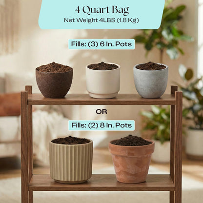 Rosy Soil Cactus Soil – Organic Succulent Potting Mix, Chunky Fast Draining, Peat-Free, Root Boosting Mix for AloeVera, Cacti, Indoor Succulents - 4qt