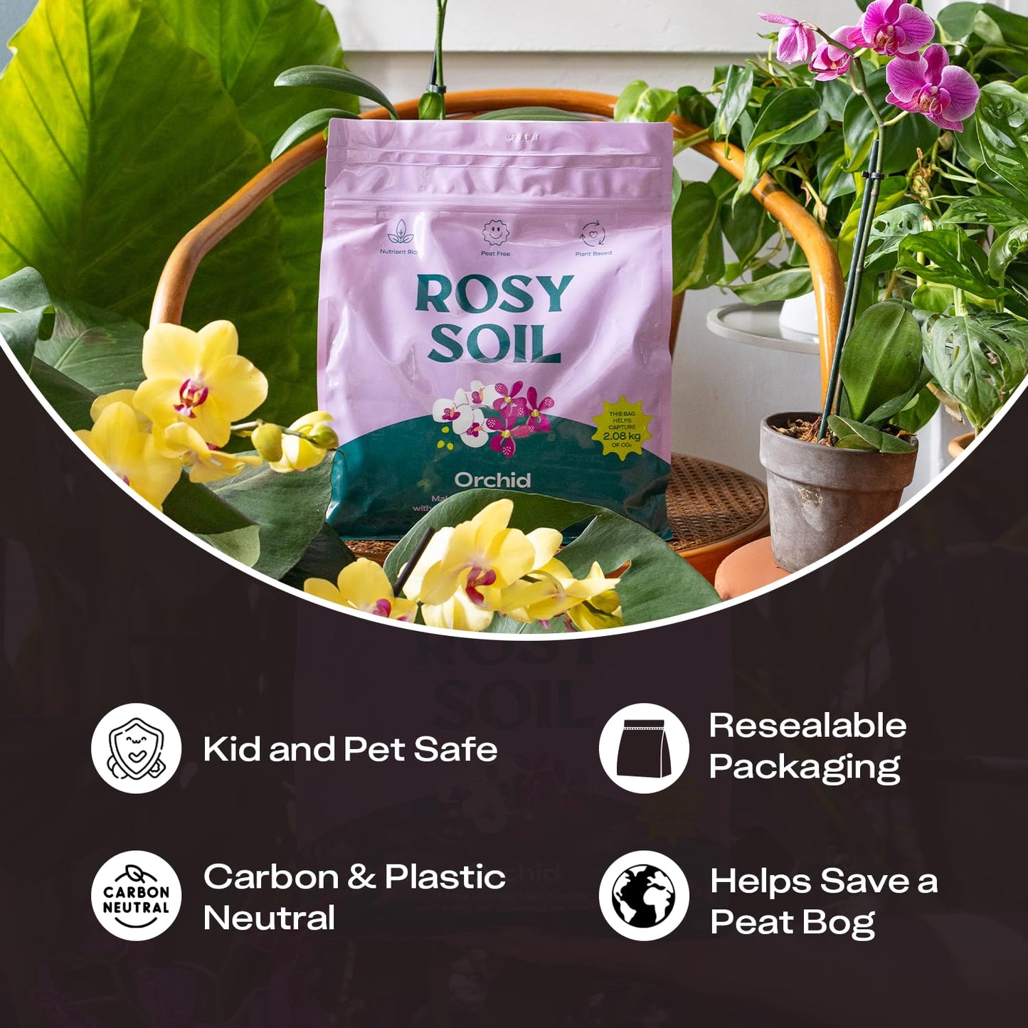 Rosy Soil Cactus Soil – Organic Succulent Potting Mix, Chunky Fast Draining, Peat-Free, Root Boosting Mix for AloeVera, Cacti, Indoor Succulents - 4qt