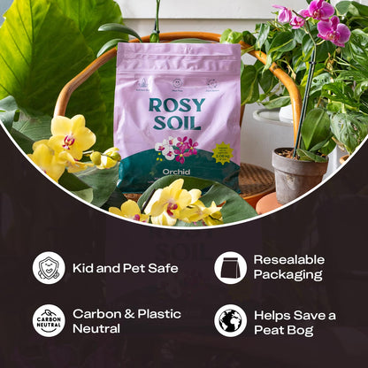Rosy Soil Cactus Soil – Organic Succulent Potting Mix, Chunky Fast Draining, Peat-Free, Root Boosting Mix for AloeVera, Cacti, Indoor Succulents - 4qt