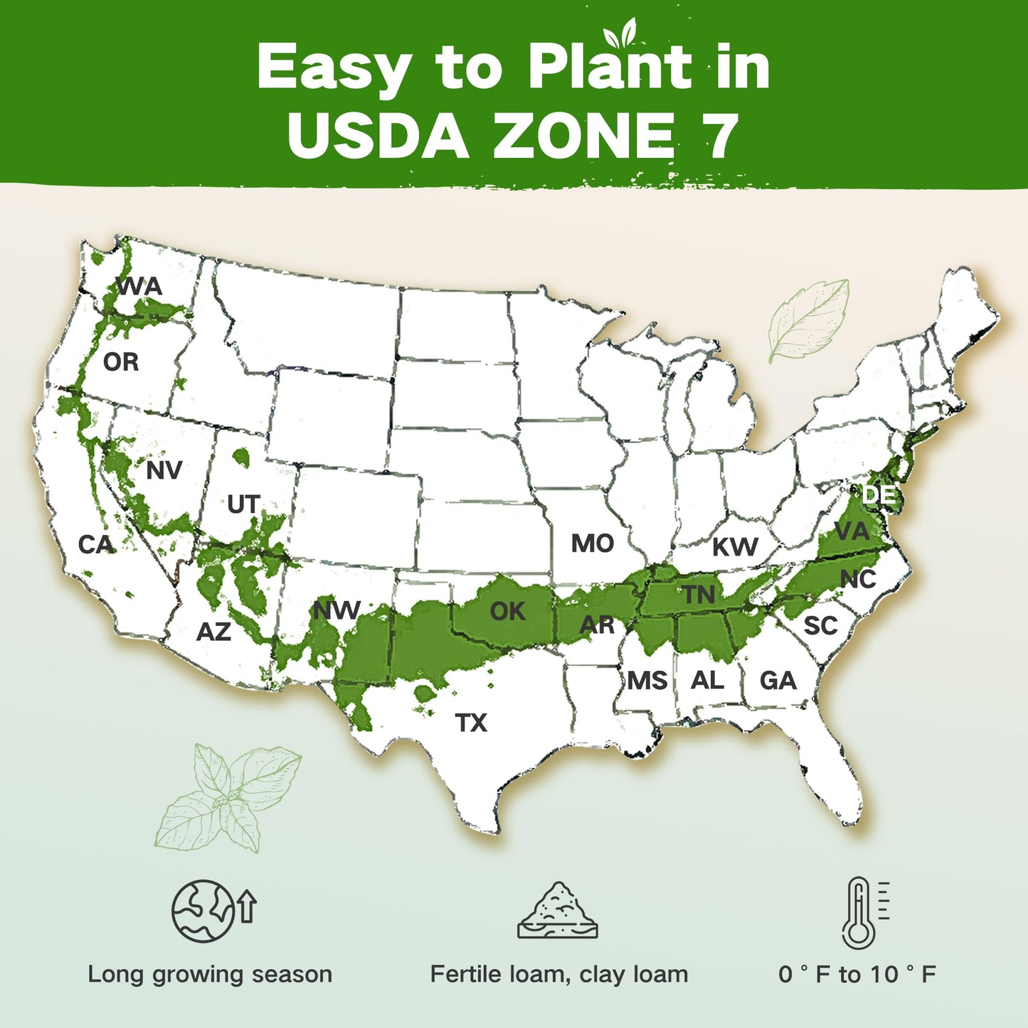 Lush&Dew Year-Round USDA Zone 9 Seed Bank, Gardening Gifts for Women Men, 32 Varieties Non-GMO Heirloom Seeds of Vegetables Herbs Fruits, Gift for Mom Dad, Survival Seed Kit for Raised Garden Beds