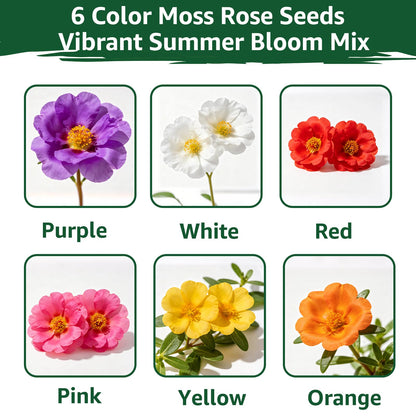 Foxglove Seeds Perennial – Mixed Colors, 200,000+ Seeds Bulk Pack for Easy-to-Grow Home Gardening, Tall Spire Blooms for Garden Borders, Attract Hummingbirds & Bees
