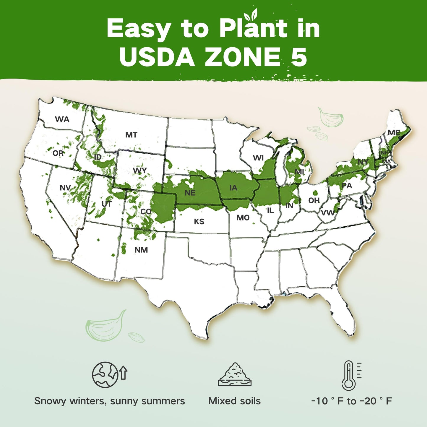 Lush&Dew Year-Round USDA Zone 9 Seed Bank, Gardening Gifts for Women Men, 32 Varieties Non-GMO Heirloom Seeds of Vegetables Herbs Fruits, Gift for Mom Dad, Survival Seed Kit for Raised Garden Beds
