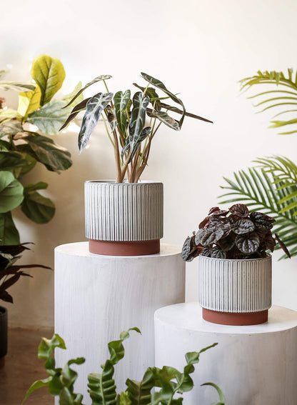 LE TAUCI Ceramic Plant Pots with Drainage Holes, Set of 3, 8+6.7+5.5 Inch Stripe Garden Planter Pots for Outdoor Indoor Plants Flower, Round Succulent Orchid Flower Pot, Reactive Glaze Black
