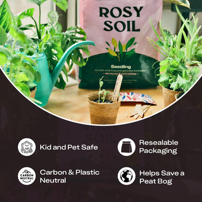 Rosy Soil Cactus Soil – Organic Succulent Potting Mix, Chunky Fast Draining, Peat-Free, Root Boosting Mix for AloeVera, Cacti, Indoor Succulents - 4qt