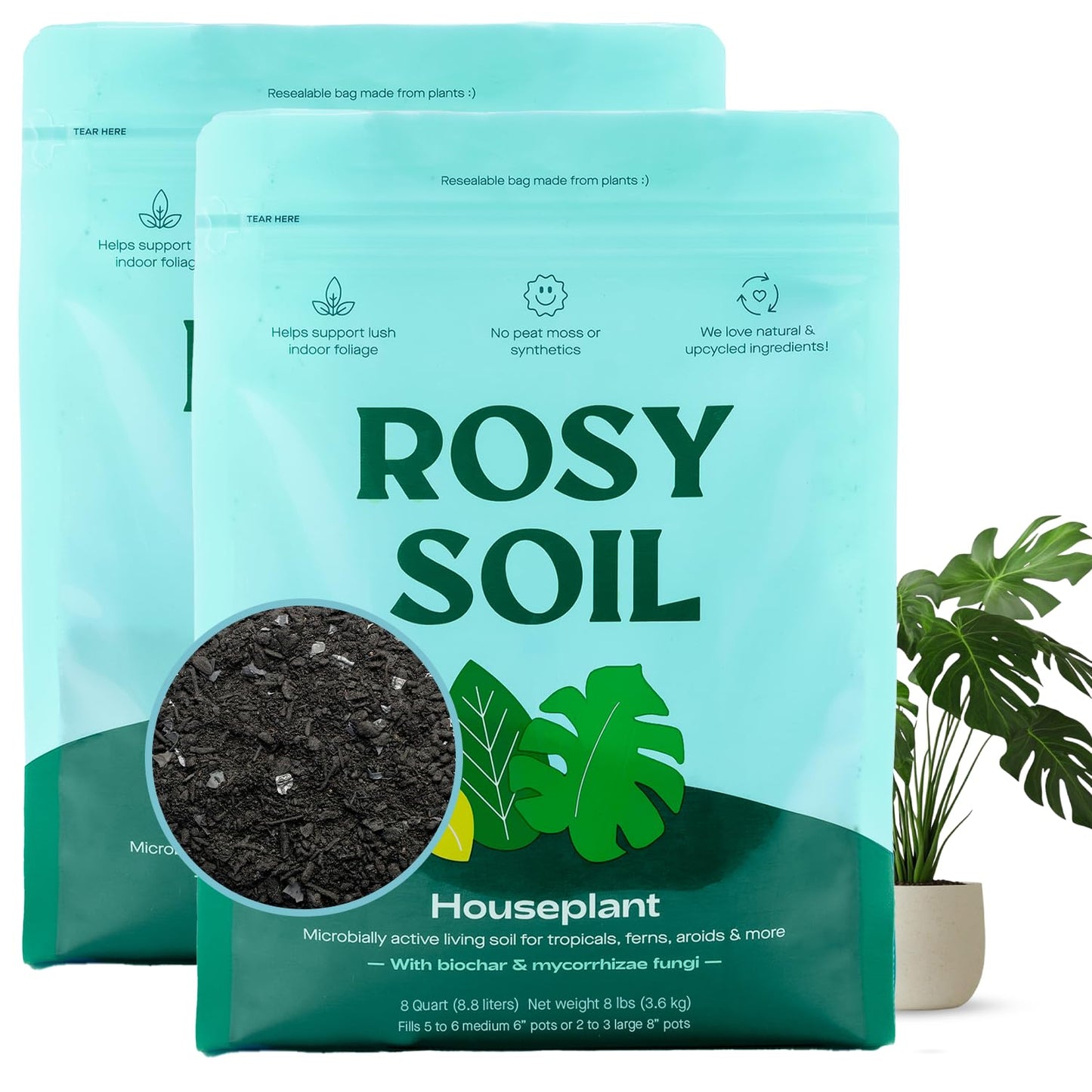Rosy Soil Cactus Soil – Organic Succulent Potting Mix, Chunky Fast Draining, Peat-Free, Root Boosting Mix for AloeVera, Cacti, Indoor Succulents - 4qt