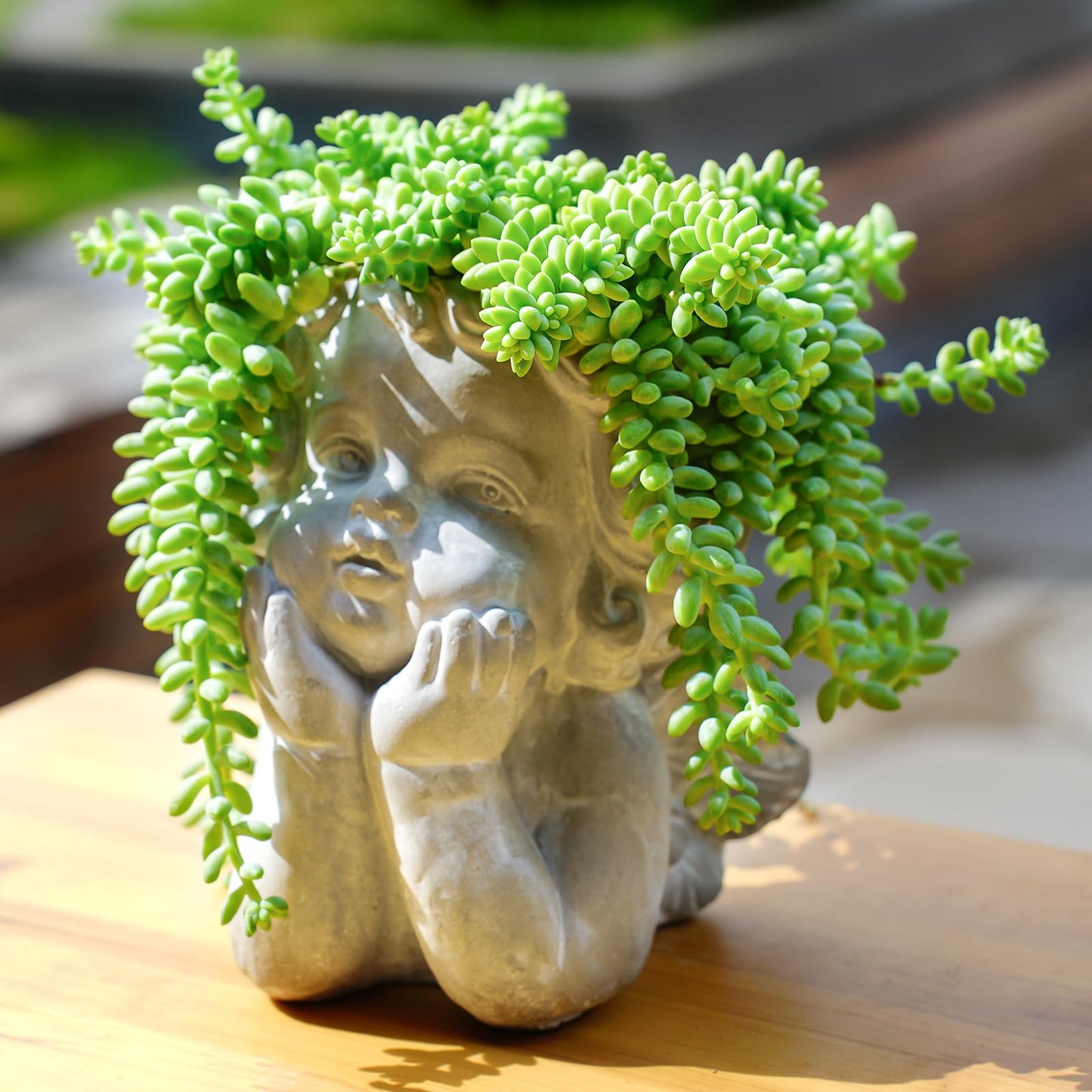 Sprout N Green 4'' Sedum lucidum Obesum, Live Succulent Fully Rooted in Pots with Soil Mix, Rare House Plant for Home Office Indoor Outdoor Wedding Decor, DIY Projects, Party Favor