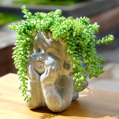 Sprout N Green 4'' Sedum lucidum Obesum, Live Succulent Fully Rooted in Pots with Soil Mix, Rare House Plant for Home Office Indoor Outdoor Wedding Decor, DIY Projects, Party Favor