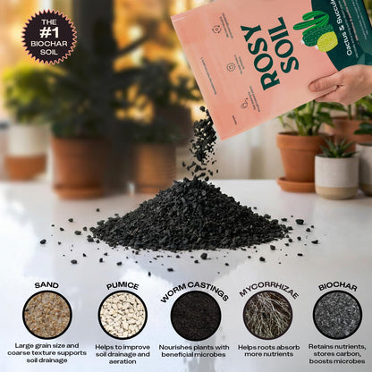 Rosy Soil Cactus Soil – Organic Succulent Potting Mix, Chunky Fast Draining, Peat-Free, Root Boosting Mix for AloeVera, Cacti, Indoor Succulents - 4qt