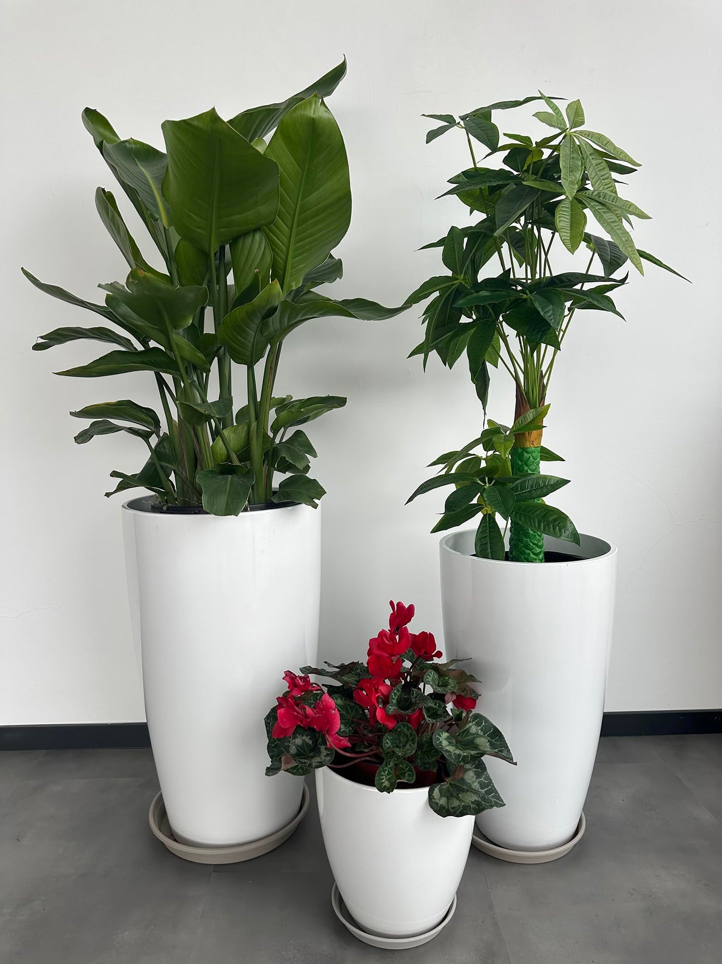 24,21,11 Inch Large Plastic Planters with Drainage Hole and Saucer - Set of 3 Tall Plant Pots Indoor Flower Pot Tall Round Planters Outdoor Large Tall Planter