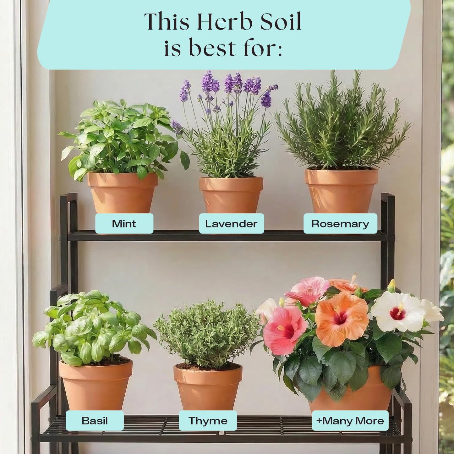 Rosy Soil Cactus Soil – Organic Succulent Potting Mix, Chunky Fast Draining, Peat-Free, Root Boosting Mix for AloeVera, Cacti, Indoor Succulents - 4qt