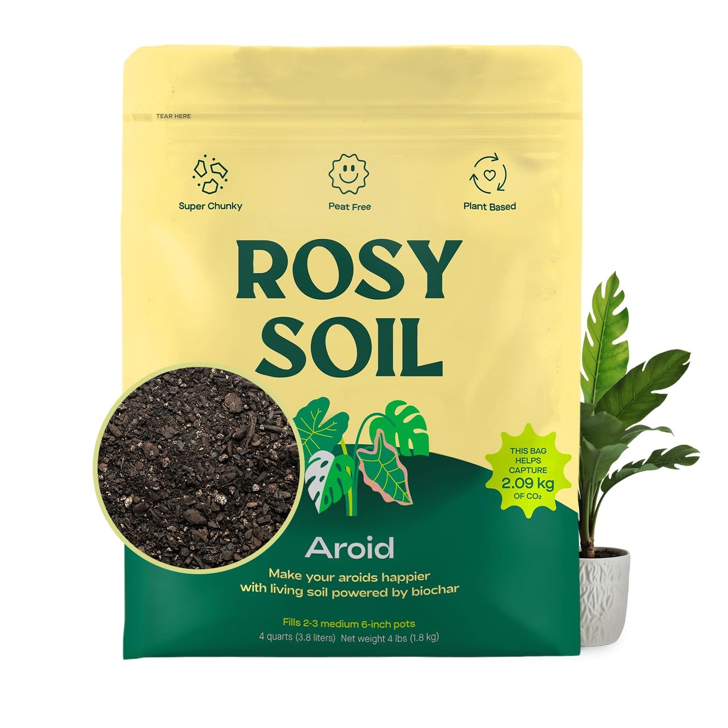 Rosy Soil Cactus Soil – Organic Succulent Potting Mix, Chunky Fast Draining, Peat-Free, Root Boosting Mix for AloeVera, Cacti, Indoor Succulents - 4qt