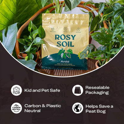 Rosy Soil Cactus Soil – Organic Succulent Potting Mix, Chunky Fast Draining, Peat-Free, Root Boosting Mix for AloeVera, Cacti, Indoor Succulents - 4qt
