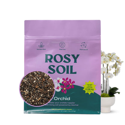 Rosy Soil Cactus Soil – Organic Succulent Potting Mix, Chunky Fast Draining, Peat-Free, Root Boosting Mix for AloeVera, Cacti, Indoor Succulents - 4qt