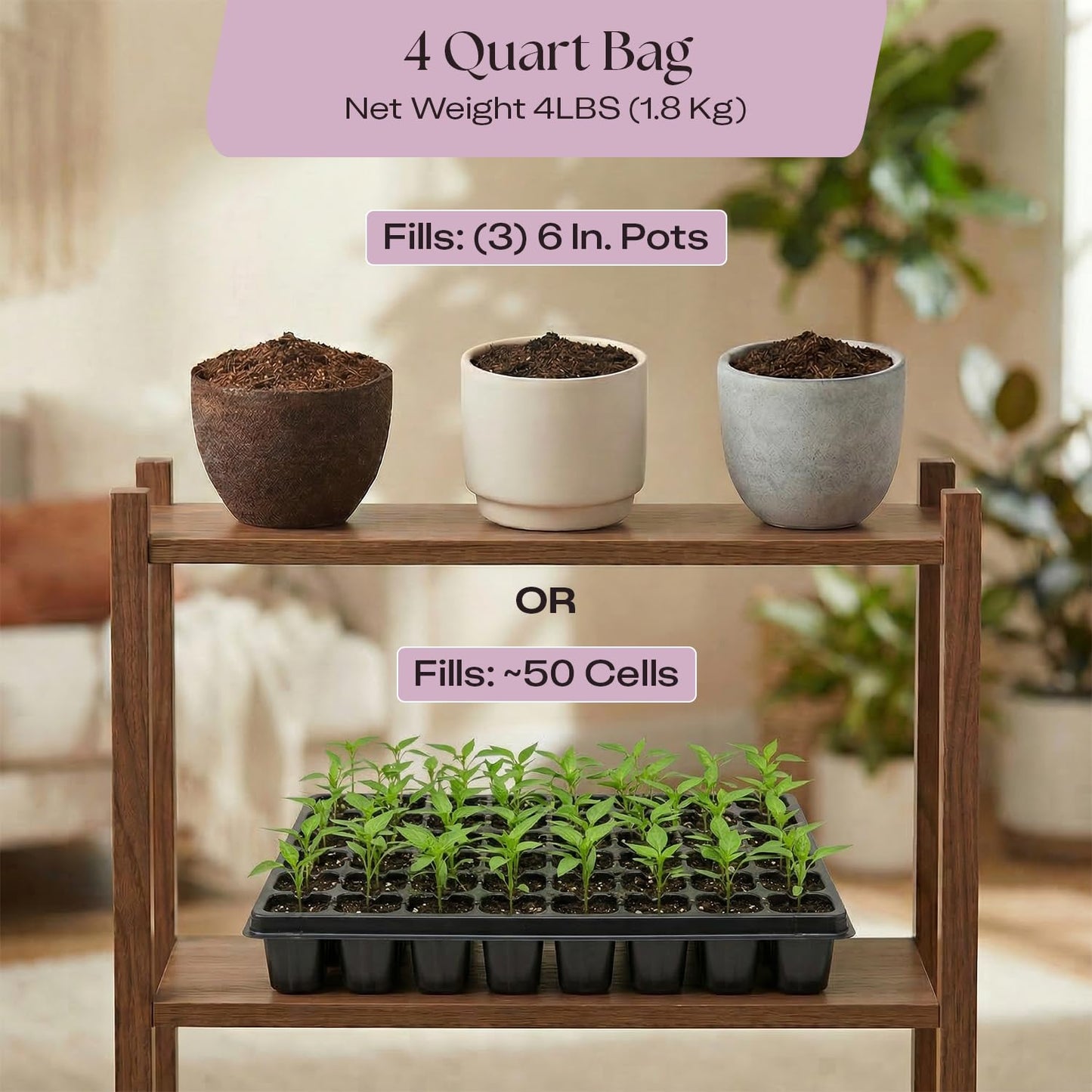 Rosy Soil Cactus Soil – Organic Succulent Potting Mix, Chunky Fast Draining, Peat-Free, Root Boosting Mix for AloeVera, Cacti, Indoor Succulents - 4qt