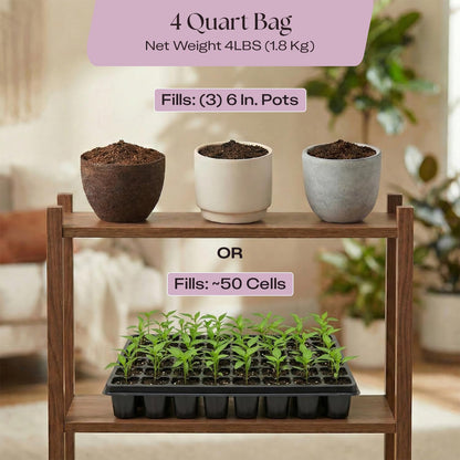 Rosy Soil Cactus Soil – Organic Succulent Potting Mix, Chunky Fast Draining, Peat-Free, Root Boosting Mix for AloeVera, Cacti, Indoor Succulents - 4qt