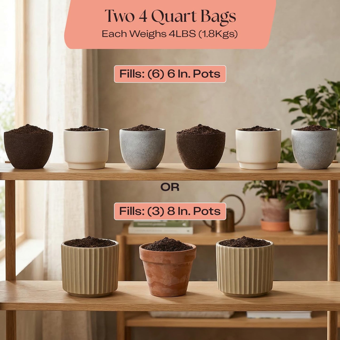 Rosy Soil Cactus Soil – Organic Succulent Potting Mix, Chunky Fast Draining, Peat-Free, Root Boosting Mix for AloeVera, Cacti, Indoor Succulents - 4qt